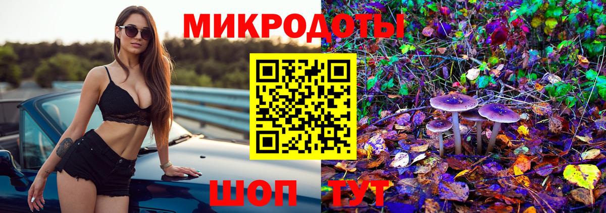Псилоцибиновые грибы Psilocybine cubensis Мегион