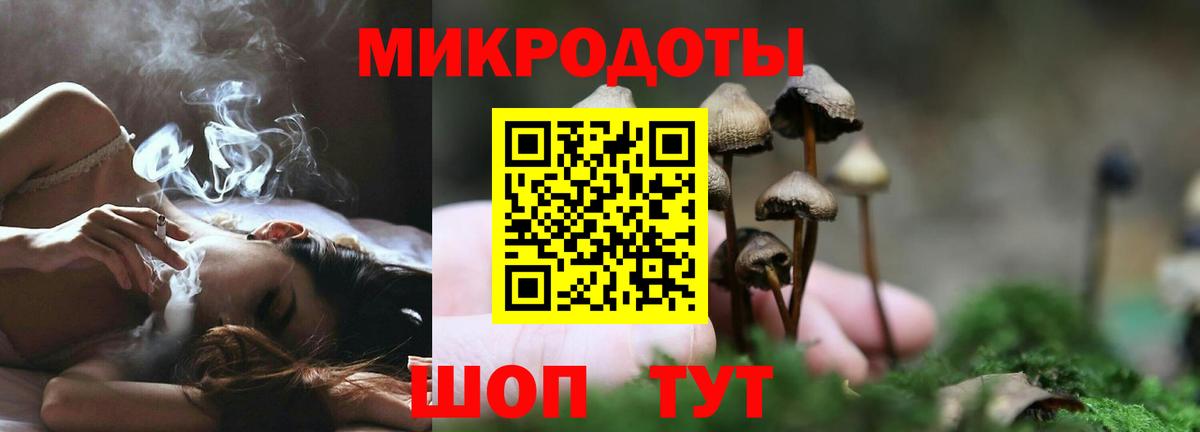 Галлюциногенные грибы MAGIC MUSHROOMS  Вход с VPN  Мегион 